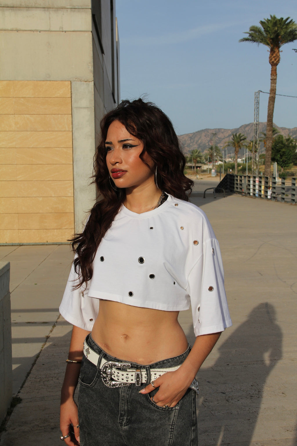 WHITE HOLE TOP